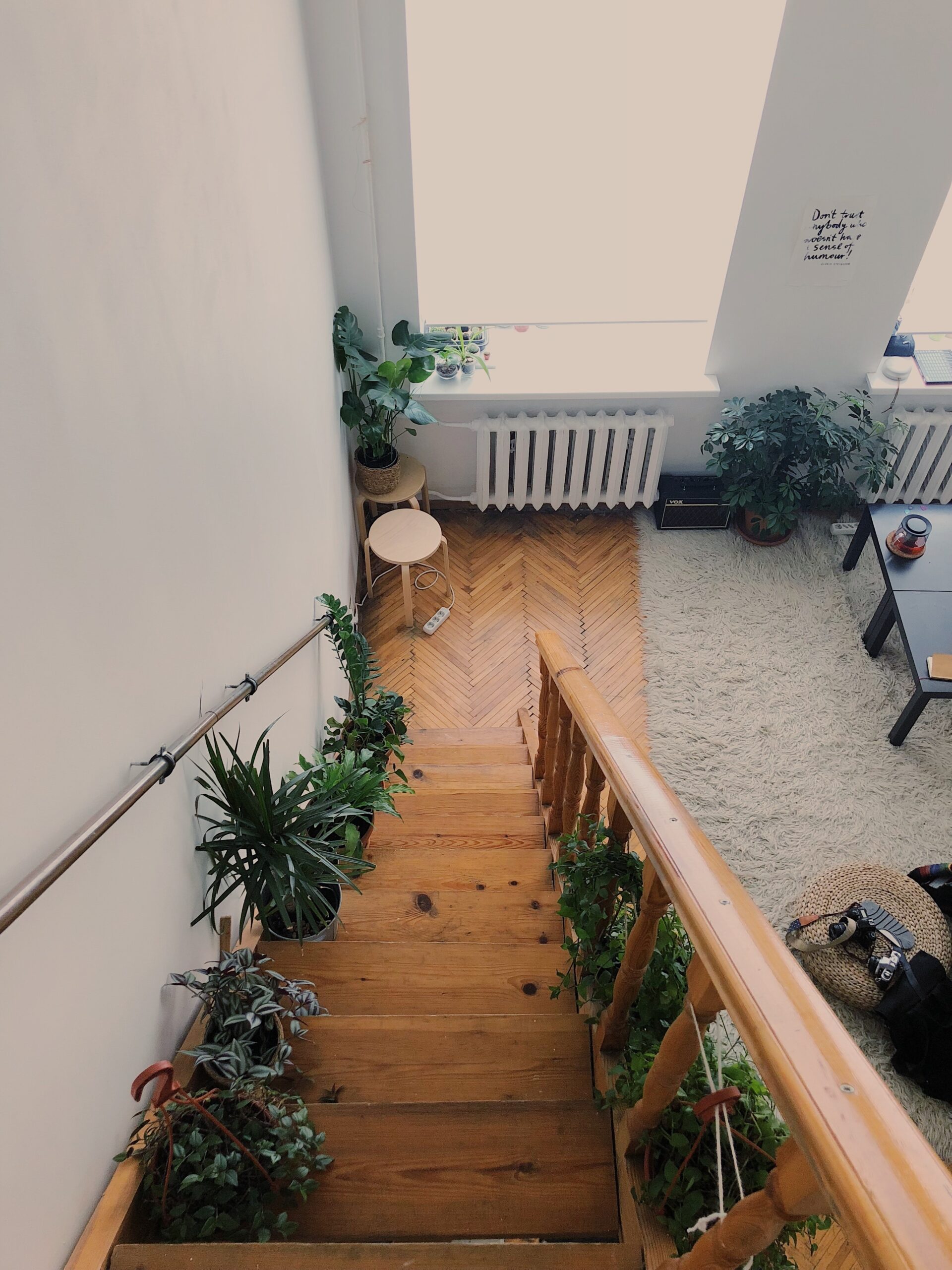 stairs-property-house-plant-room-houseplant-1519761-pxhere.com